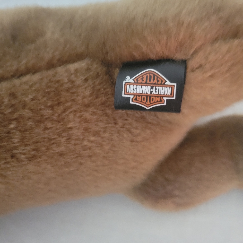 Harley Davidson Dachshund Dog with Helmet - Picture 5 of 6